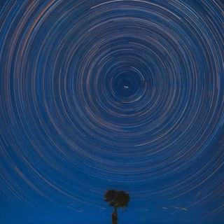 Social media post 12